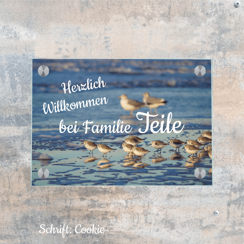 Personalisiertes Familienschild Strandläufer personalisiert