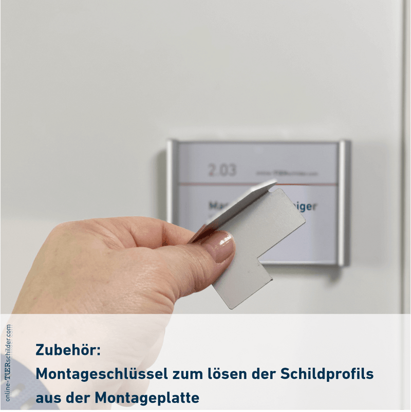 Montageschlüssel zum Lösen des Schildes von der Montageplatte