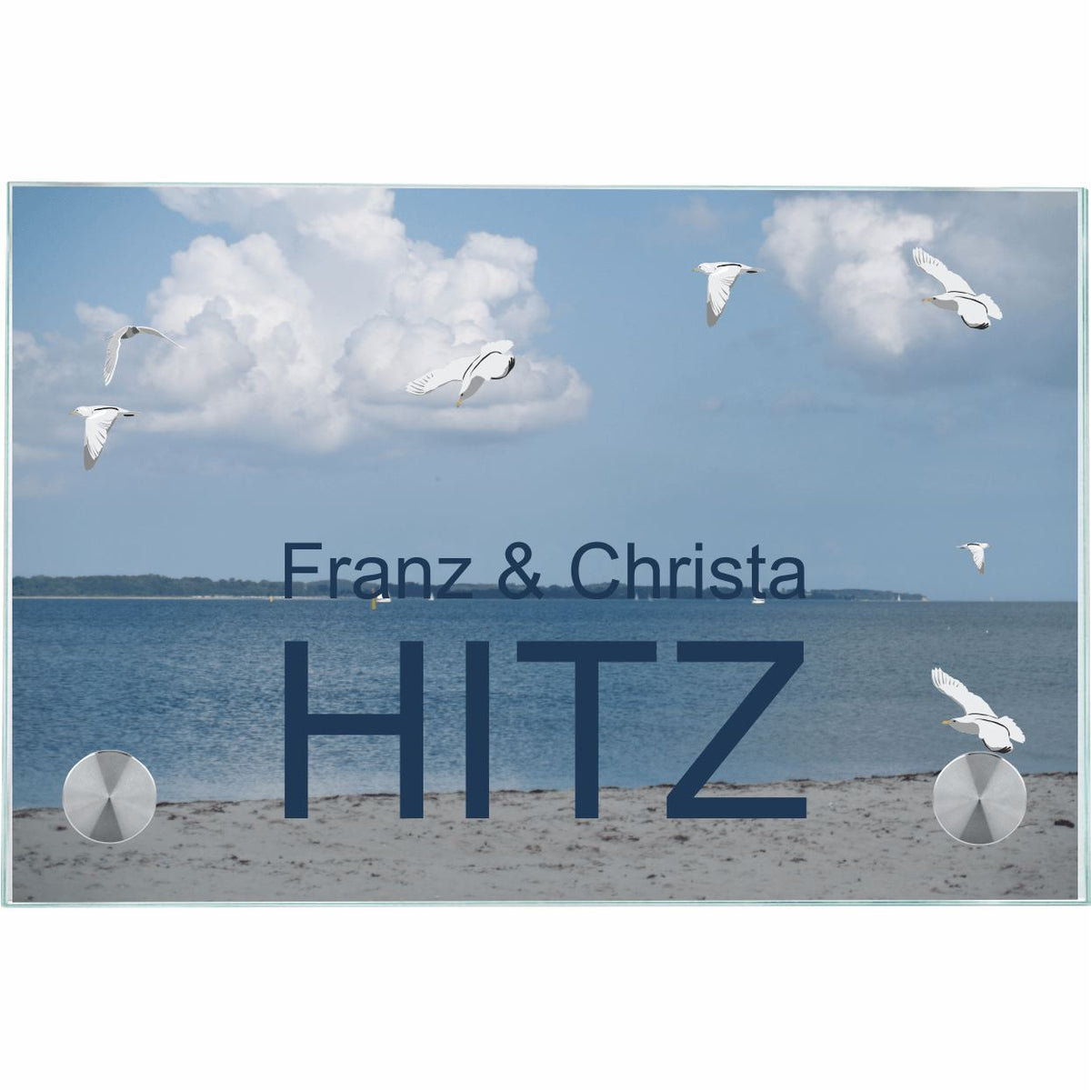 Haustürschilder Möwen am Strand 1